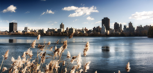 Upper Lake in New York Central Park by Werner Kunz 저작자 표시비영리동일조건 변경허락